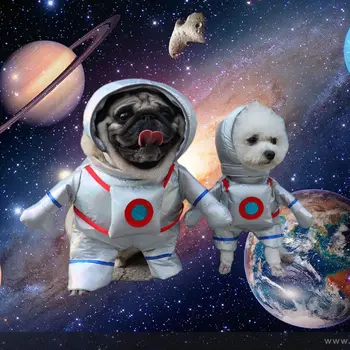 MPK Домашно Куче Астронавт Космически Костюм на Астронавт Изправя Облекло За Хелоуин Забавен Костюм И Подходящи За Котки